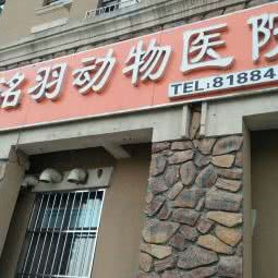 洺羽动物医院:长春市南关区世荣路/南三环附近