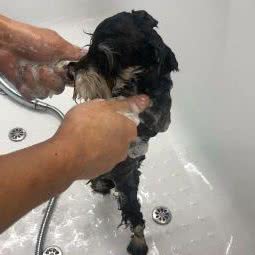 麦格盟宠物店:长春市南关区人民广场附近
