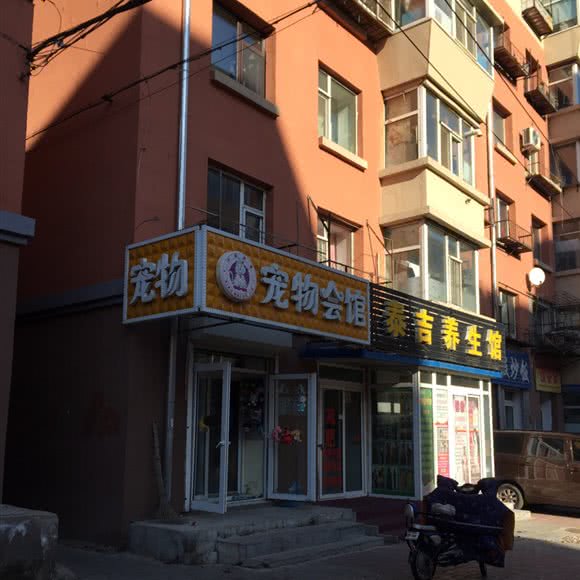 小白的家宠物会馆:长春市南关区全安广场附近