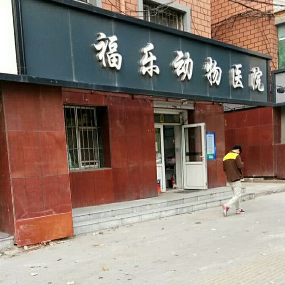 福乐动物医院:长春市南关区五环体育场附近