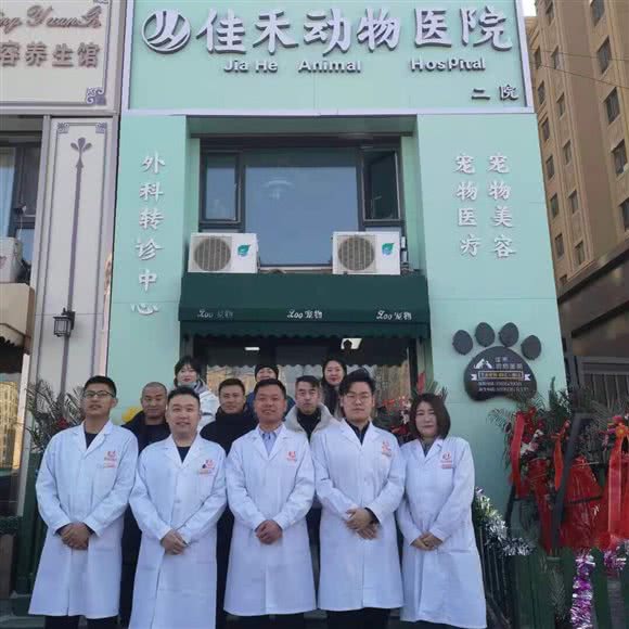 佳禾动物医院(二院):长春市南关区金宇大路附近