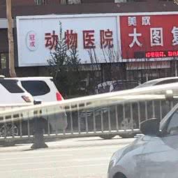 冠城动物医院:长春市宽城区雁鸣湖/柳影路附近