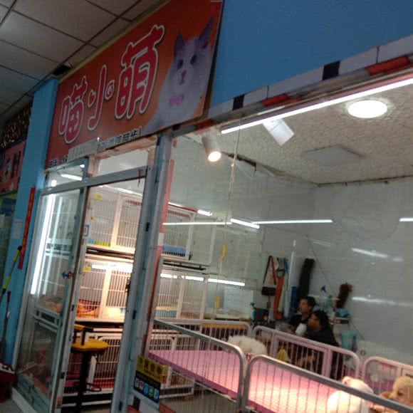 喵小萌:长春市宽城区火车站附近