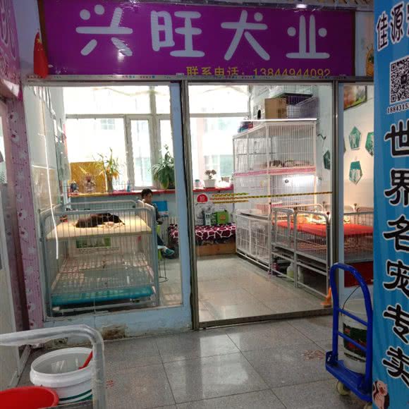兴旺犬业:长春市宽城区火车站附近
