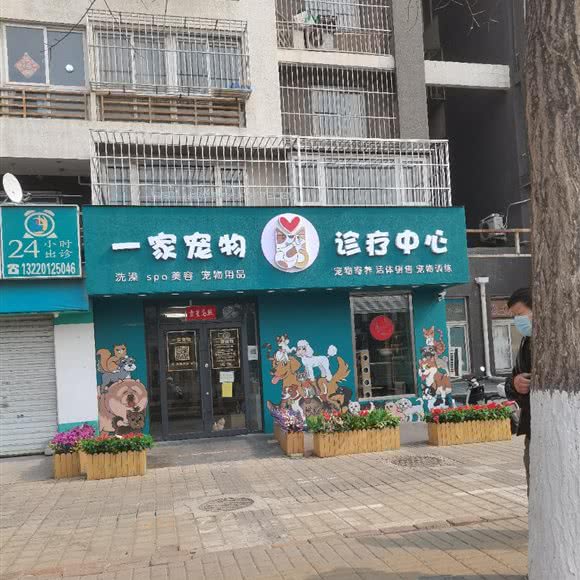 宠物美容:北京城区丰台区西红门附近
