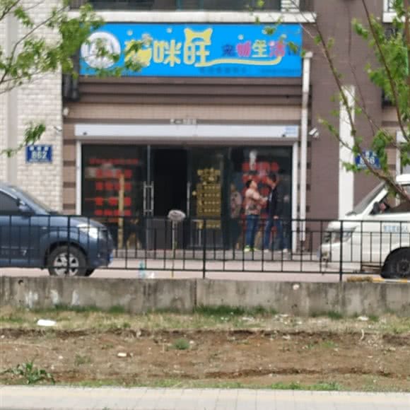 猫咪旺宠物生活馆:长春市宽城区北湖附近