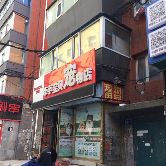 牵手宝贝宠物用品:长春市朝阳区桂林路附近