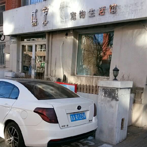 盛宠宠物生活馆:长春市朝阳区永昌附近