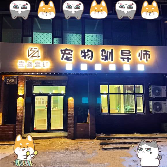 1314宠物驯指导老师:长春市朝阳区南湖公园附近