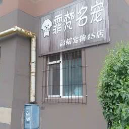 霏梵宠物:长春市朝阳区湖西路附近