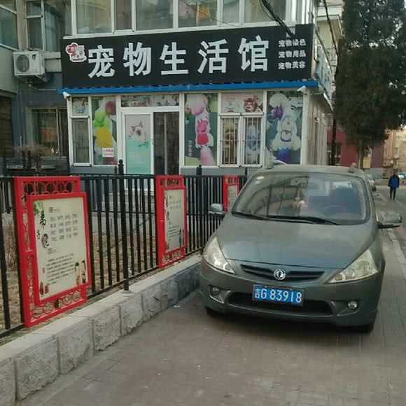 m哆多宠物生活馆:长春市朝阳区朝阳桥附近