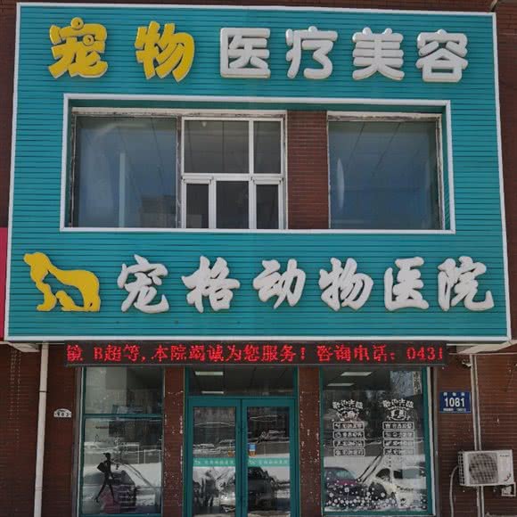 宠格动物医院:长春市朝阳区力旺广场附近