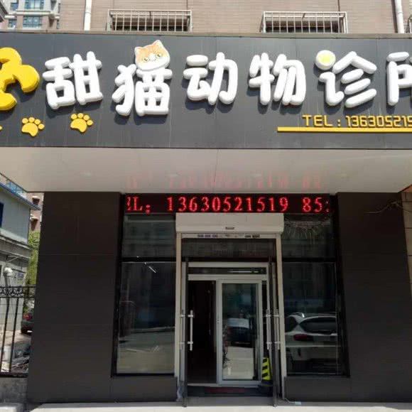 甜猫动物诊所(甜猫动物诊所(猫专科)):长春市朝阳区力旺广场附近