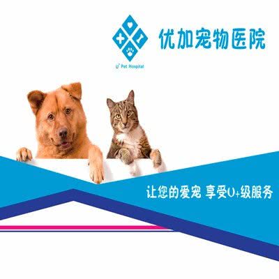 优加宠物医院:长春市朝阳区力旺广场附近