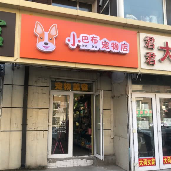 小巴布宠物店:长春市二道区东盛/劳动公园附近
