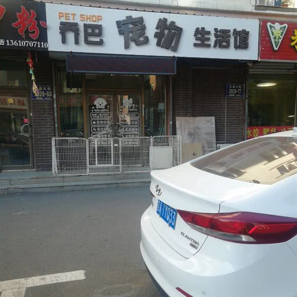 乔巴宠物生活馆:长春市二道区东盛/劳动公园附近