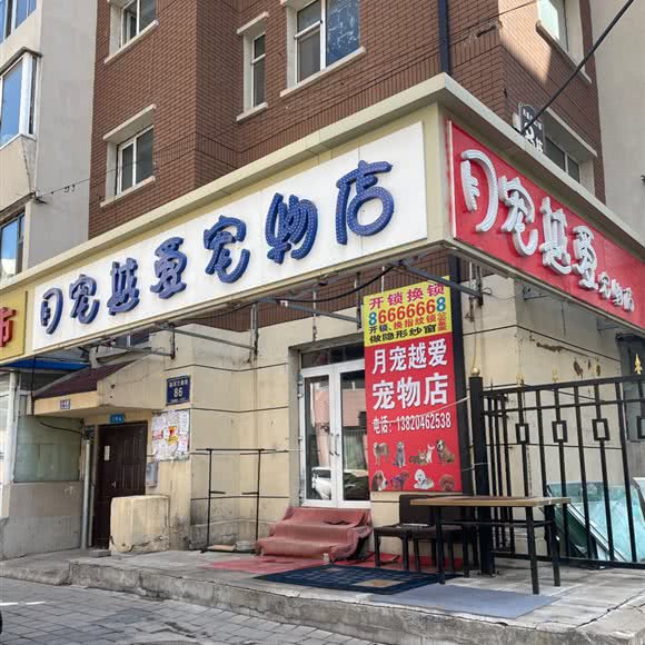 月宠越爱宠物店:长春市二道区东盛/劳动公园附近