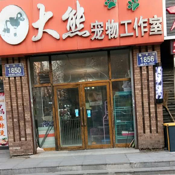 大熊狗狗工作室:长春市二道区东盛/劳动公园附近