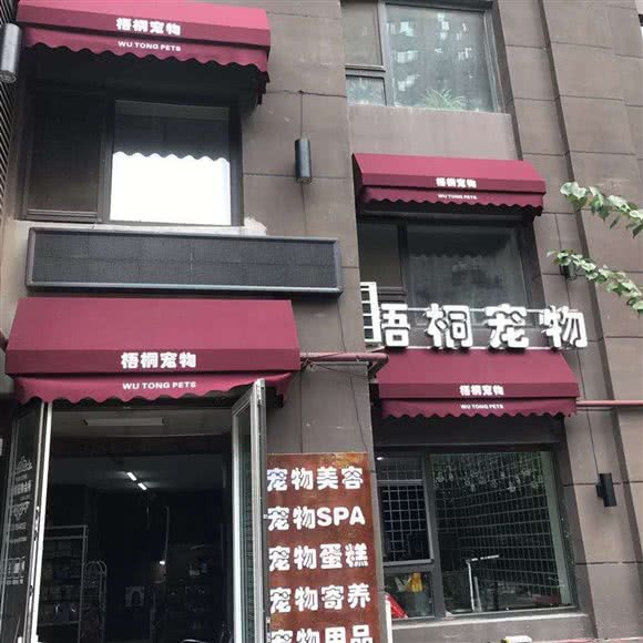 梧桐宠物二道店:长春市二道区中东大市场附近