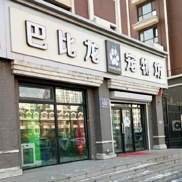 巴比龙宠物坊:长春市二道区八里堡附近