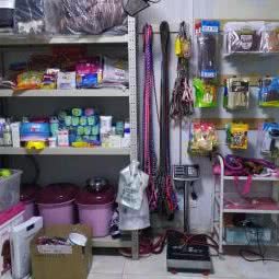 毛孩子宠物店:长春市绿园区长春公园/新竹附近