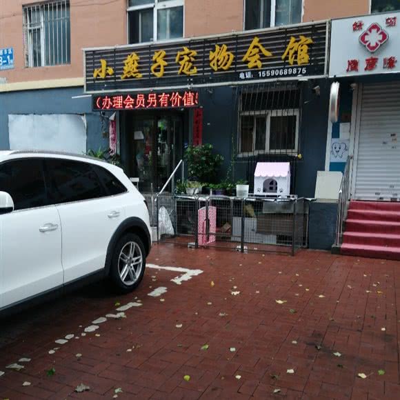 小燕子宠物会所:长春市绿园区长春公园/新竹附近