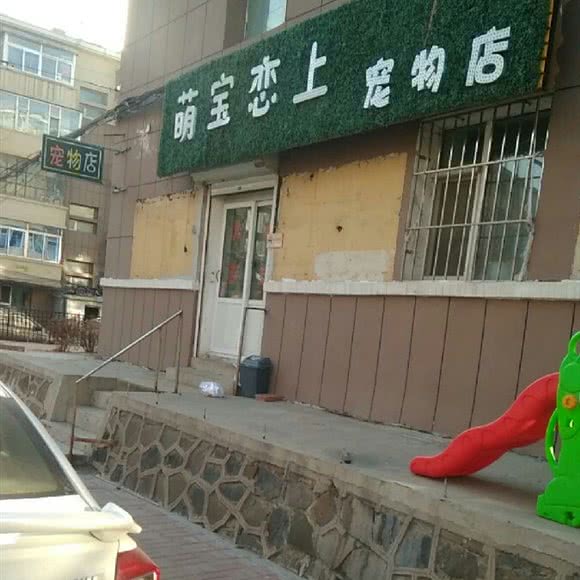 萌宝恋上宠物店(上宠物店):长春市绿园区长春公园/新竹附近