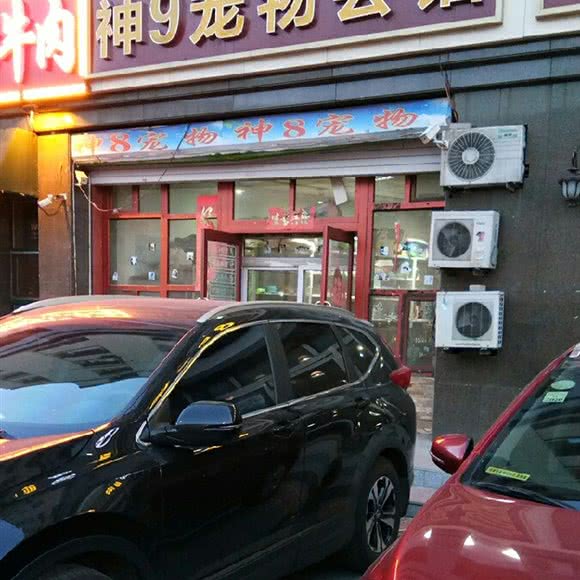 神9宠物会馆:长春市绿园区长春公园/新竹附近