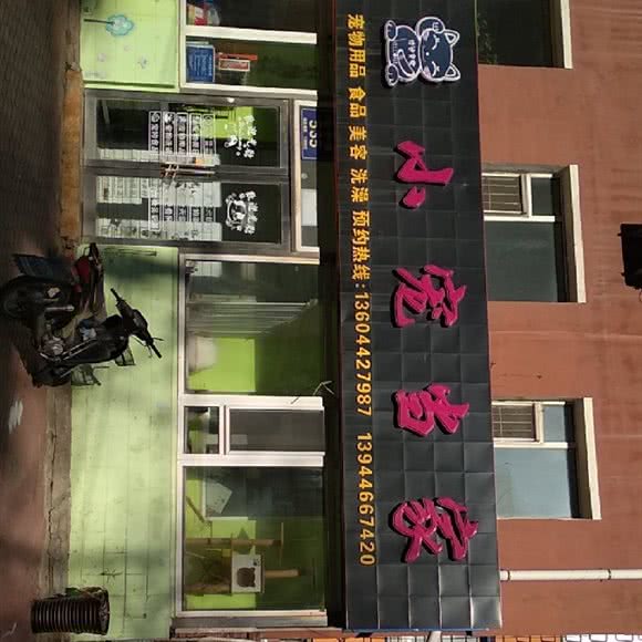 小宠当家:长春市绿园区长春公园/新竹附近