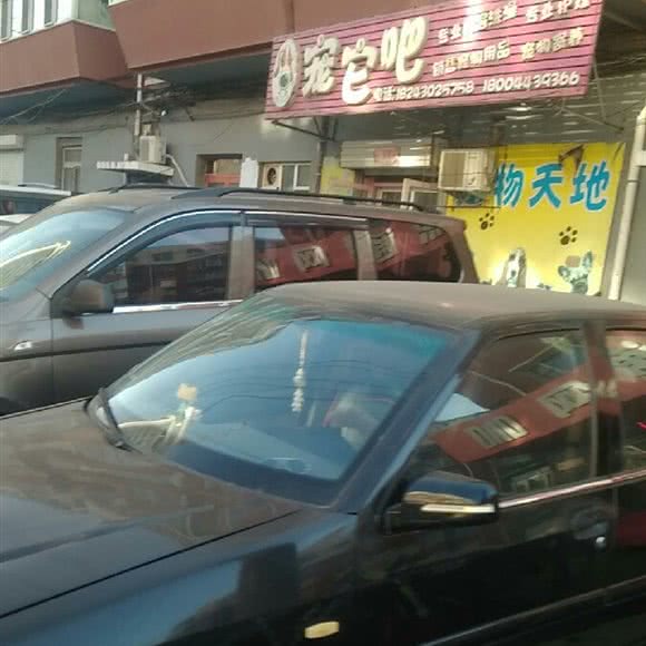 宠它呵呵:长春市绿园区长春公园/新竹附近
