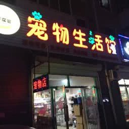铲屎官宠物生活馆:长春市绿园区长春公园/新竹附近