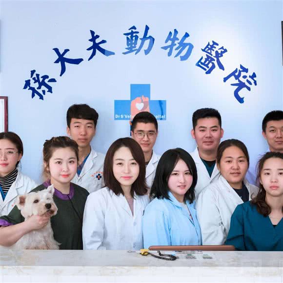 孙大夫宠物医院:长春市绿园区长春公园/新竹附近