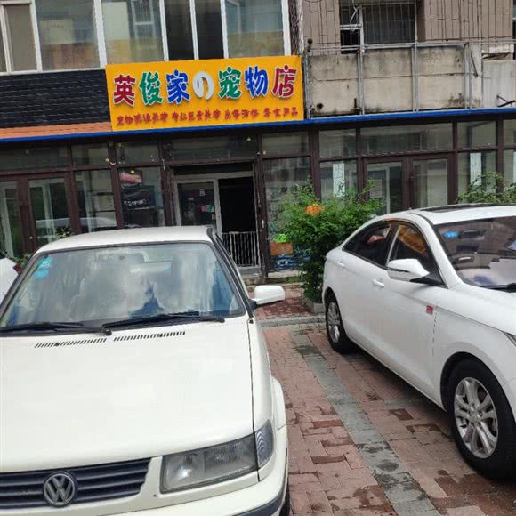 英俊家の宠物店:长春市绿园区绿园校区附近
