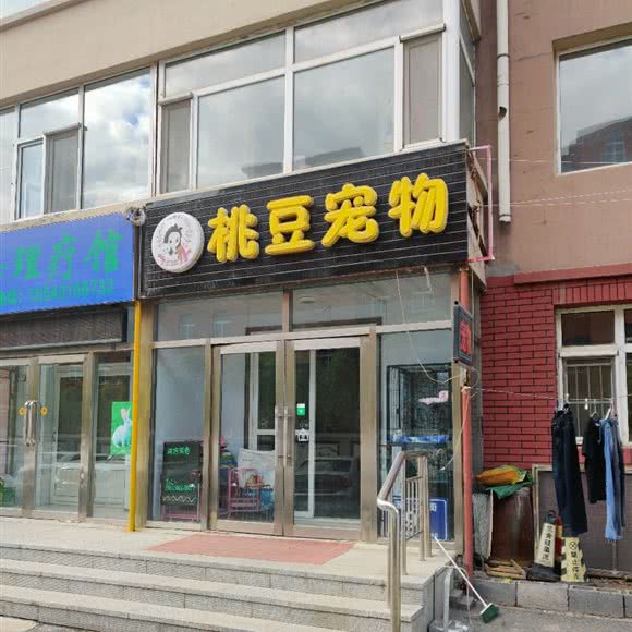 桃豆宠物:长春市双阳区双阳区附近