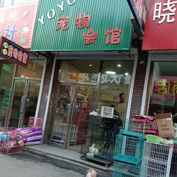 YoYo宠物会馆:长春市榆树市榆树市附近