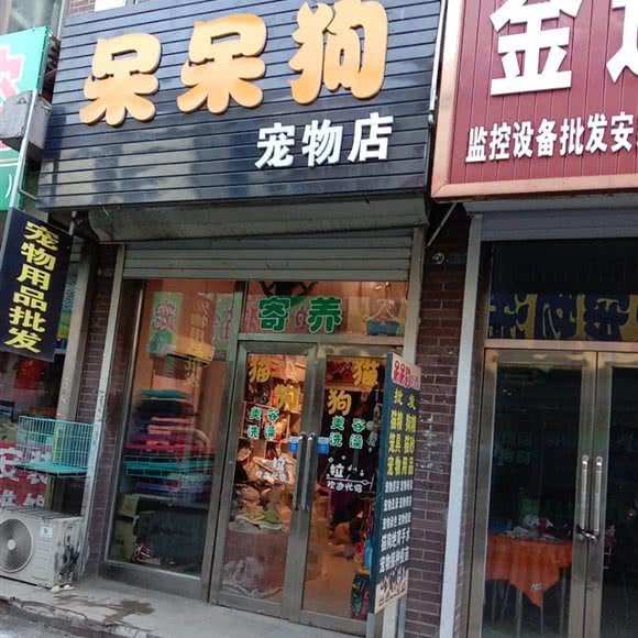 呆呆狗宠物店:长春市榆树市榆树市附近