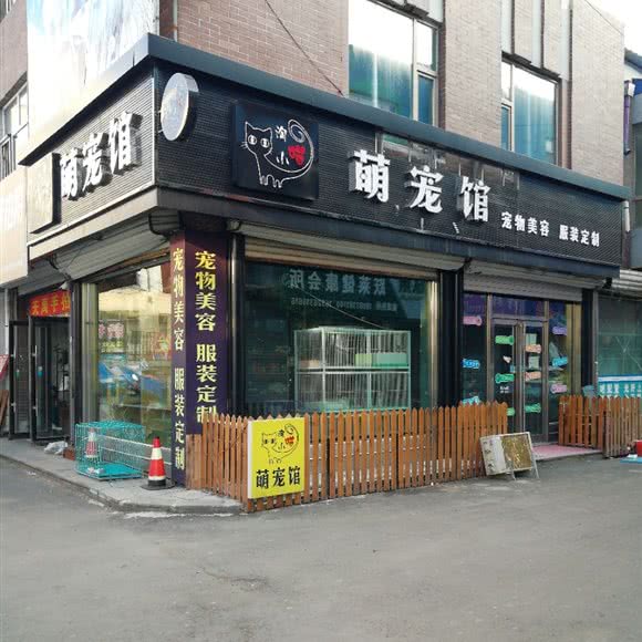淘小喵萌宠馆:长春市榆树市榆树市附近
