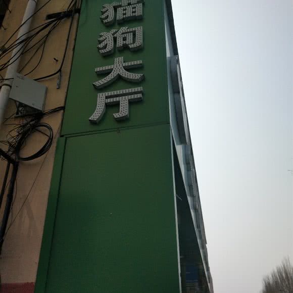 猫狗大厅:吉林市昌邑区解放东路附近