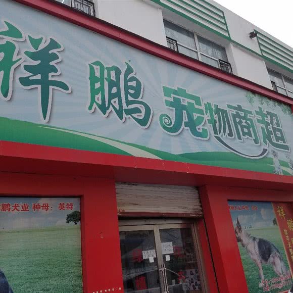 祥鹏宠物商超:吉林市昌邑区解放东路附近