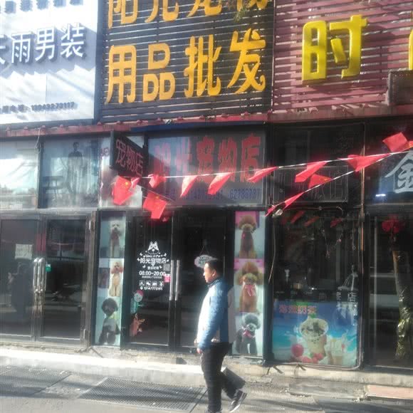 阳光宠物店:吉林市昌邑区解放北路附近