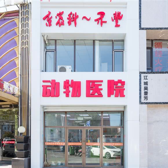 吉农科禾丰动物医院:吉林市昌邑区解放北路附近
