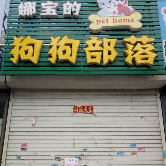 娜宝的狗狗部落:吉林市昌邑区松江二厅附近