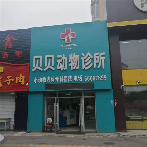 贝贝宠物医院no.5:吉林市昌邑区火车站附近