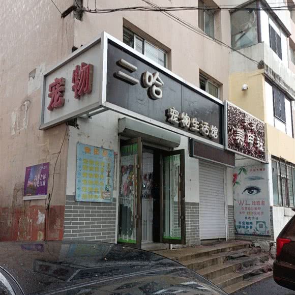 二哈宠物生活馆:吉林市船营区临江门附近