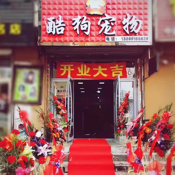 酷狗宠物:吉林市船营区解放中路附近