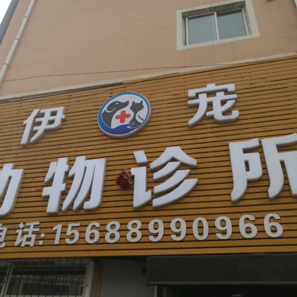 伊宠动物诊所:吉林市丰满区恒山路附近
