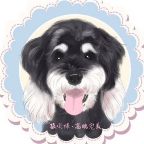 張小样的宠物店:吉林市丰满区世纪广场附近