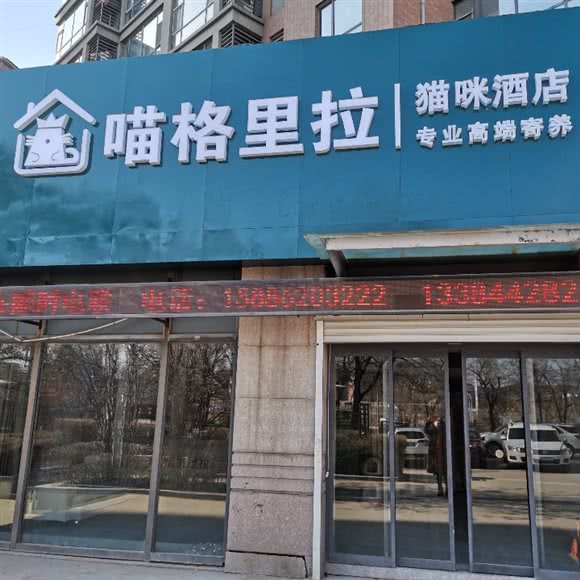 喵格里拉猫咪寄养酒店:吉林市丰满区北华东校区附近