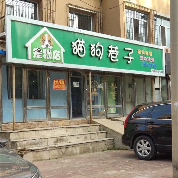 猫狗巷子宠物美容生活馆:四平市铁东区铁东欧亚附近