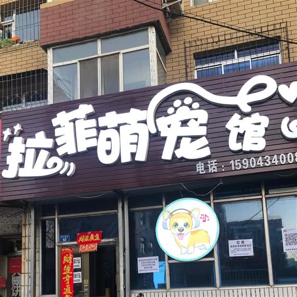 拉菲萌宠生活馆:四平市铁东区铁东欧亚附近